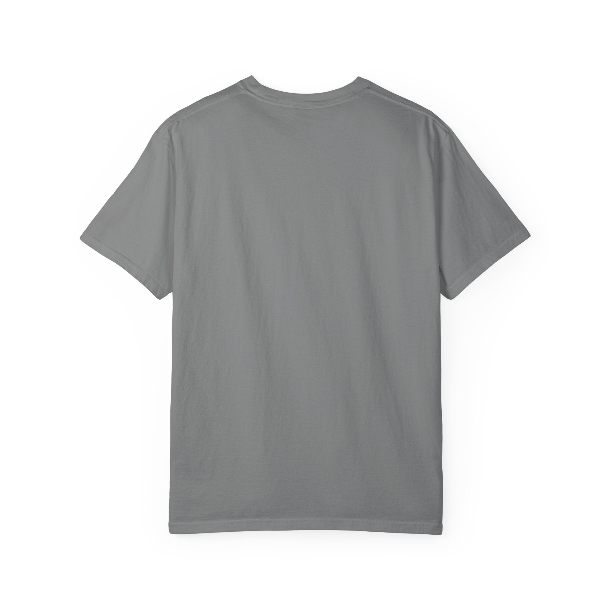 Hachikō Manga Garment-Dyed T-Shirt – Timeless Loyalty in Style 🐾