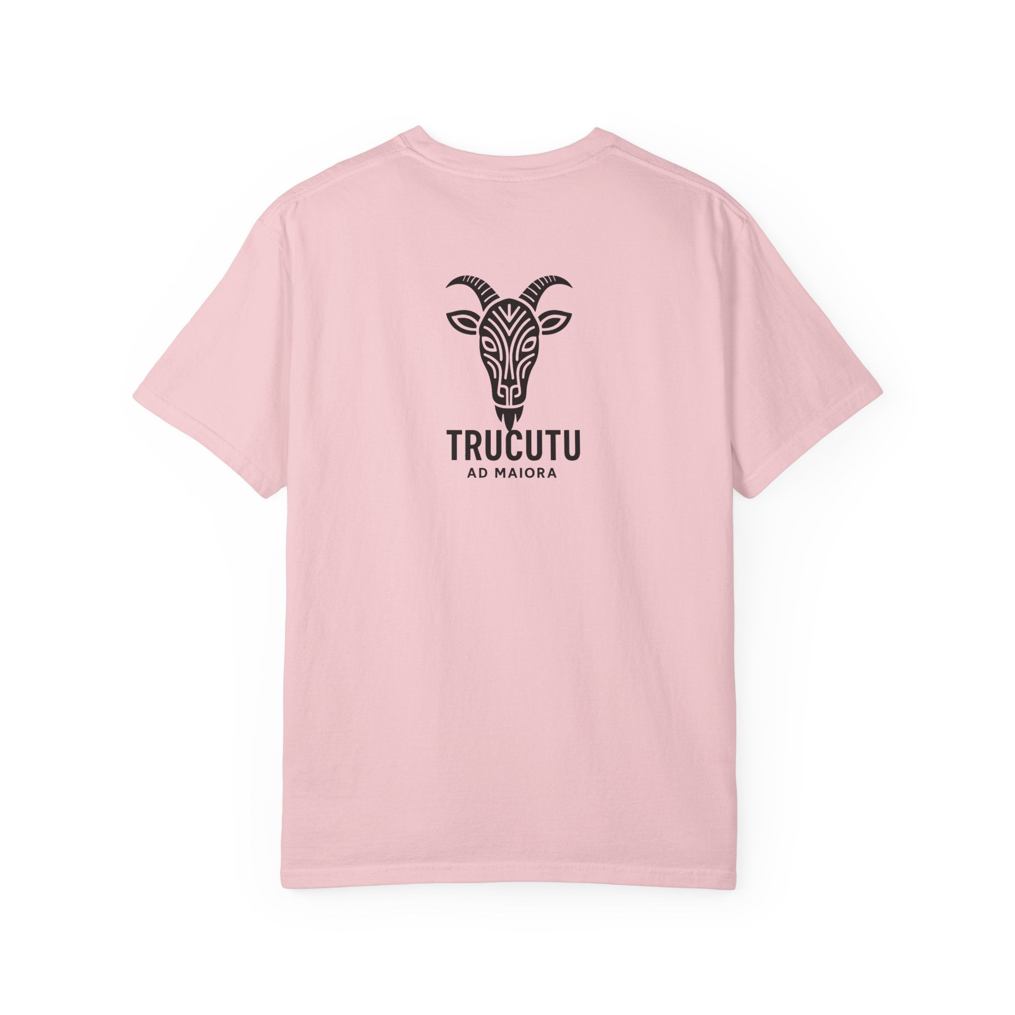 The TRUCUTU garment-dyed t-shirt