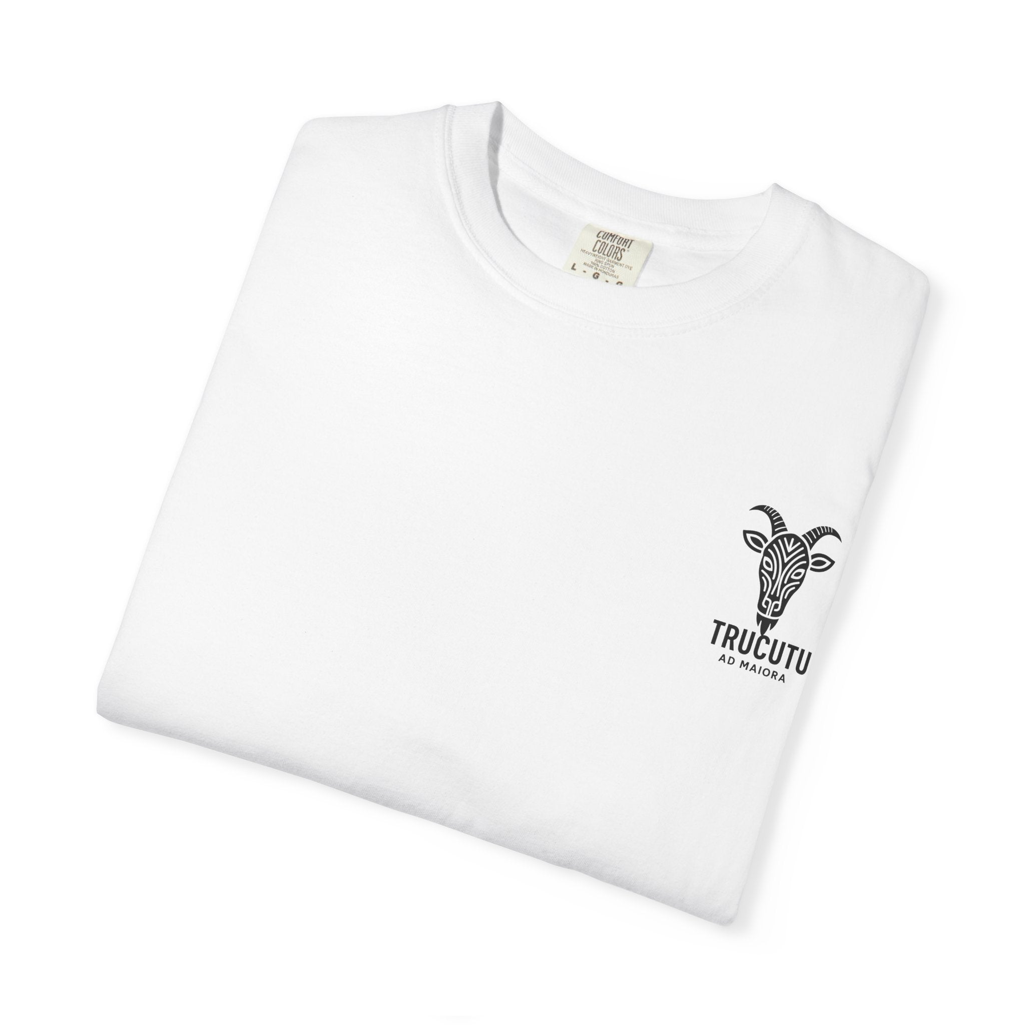 The TRUCUTU garment-dyed t-shirt