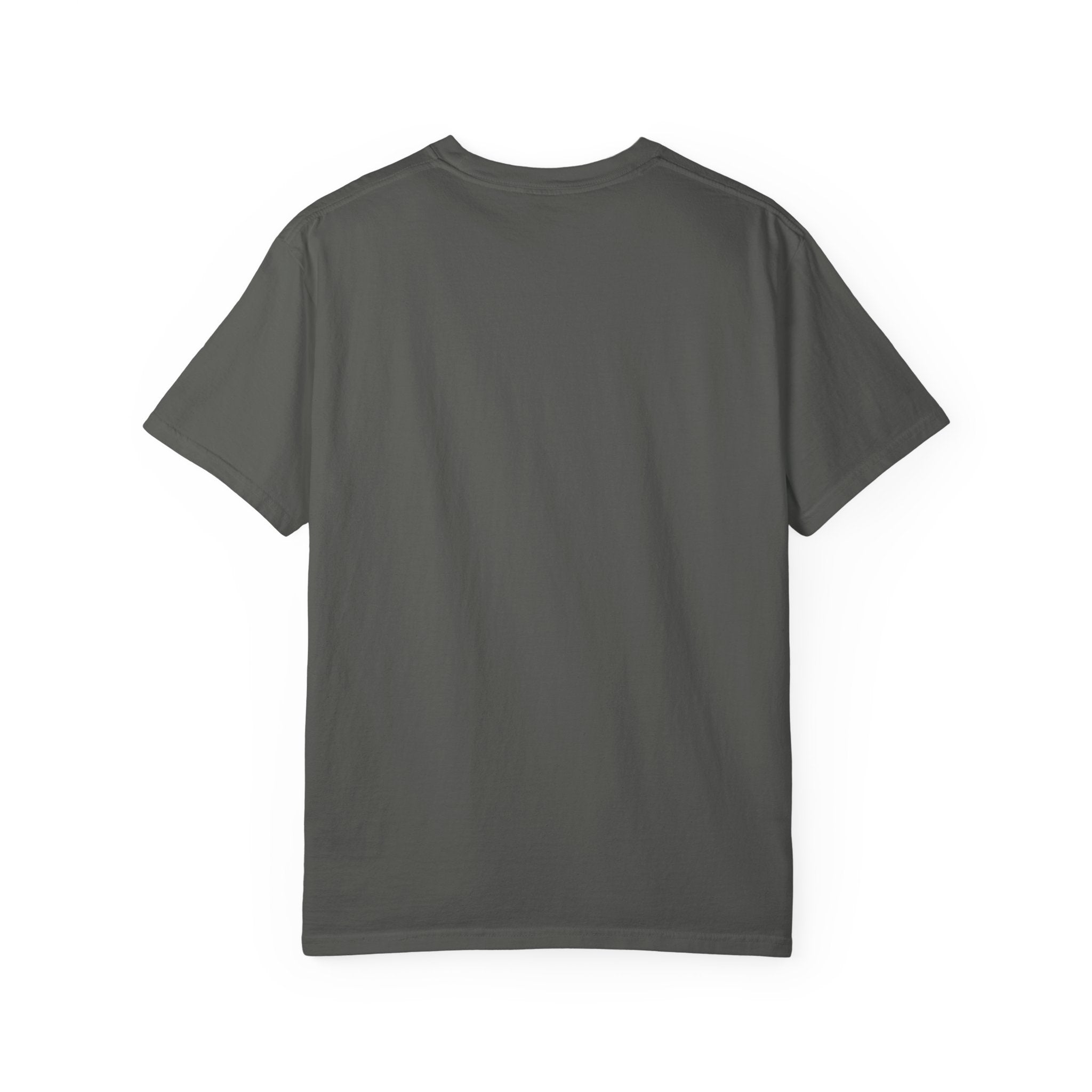 Hachikō Manga Garment-Dyed T-Shirt – Timeless Loyalty in Style 🐾