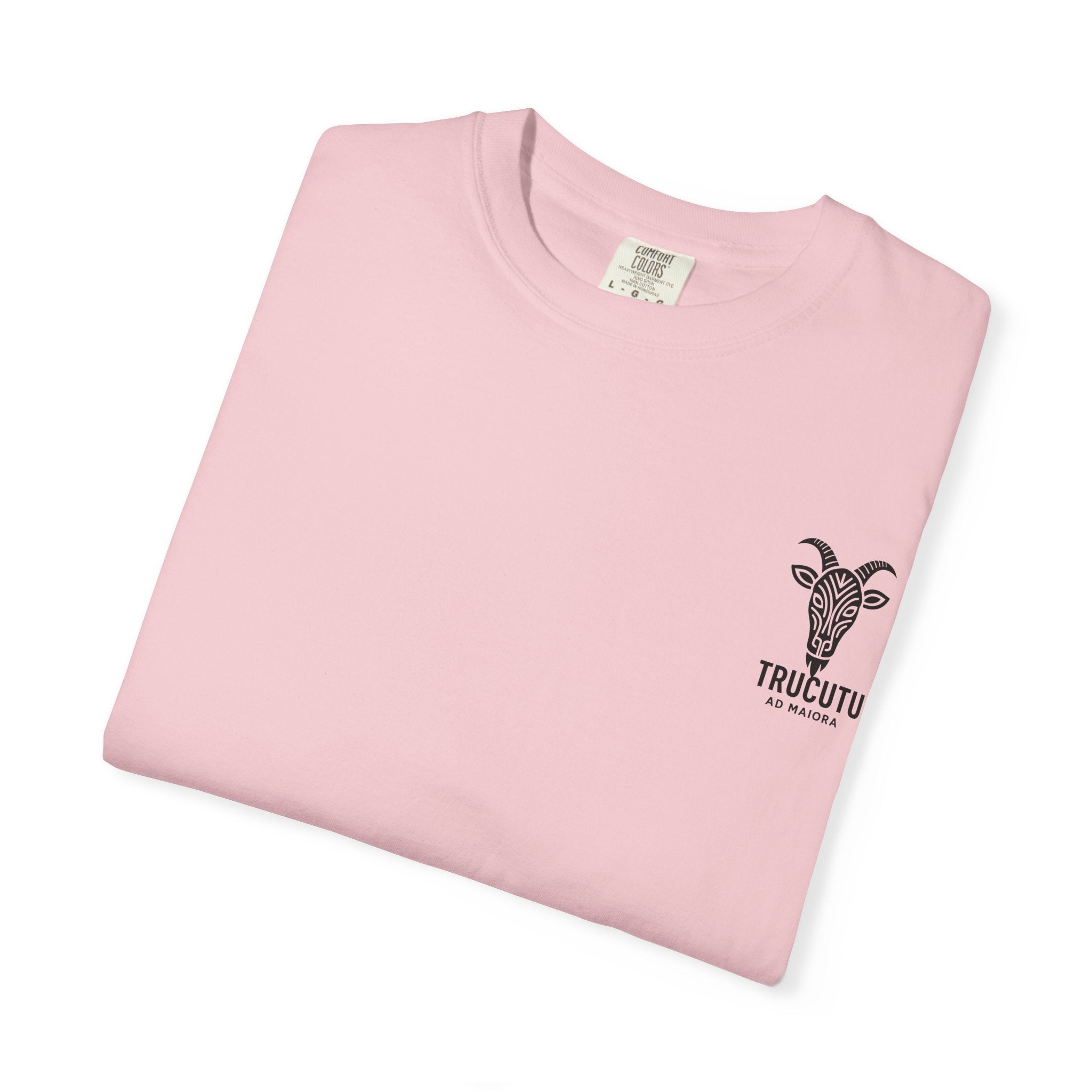 The TRUCUTU garment-dyed t-shirt