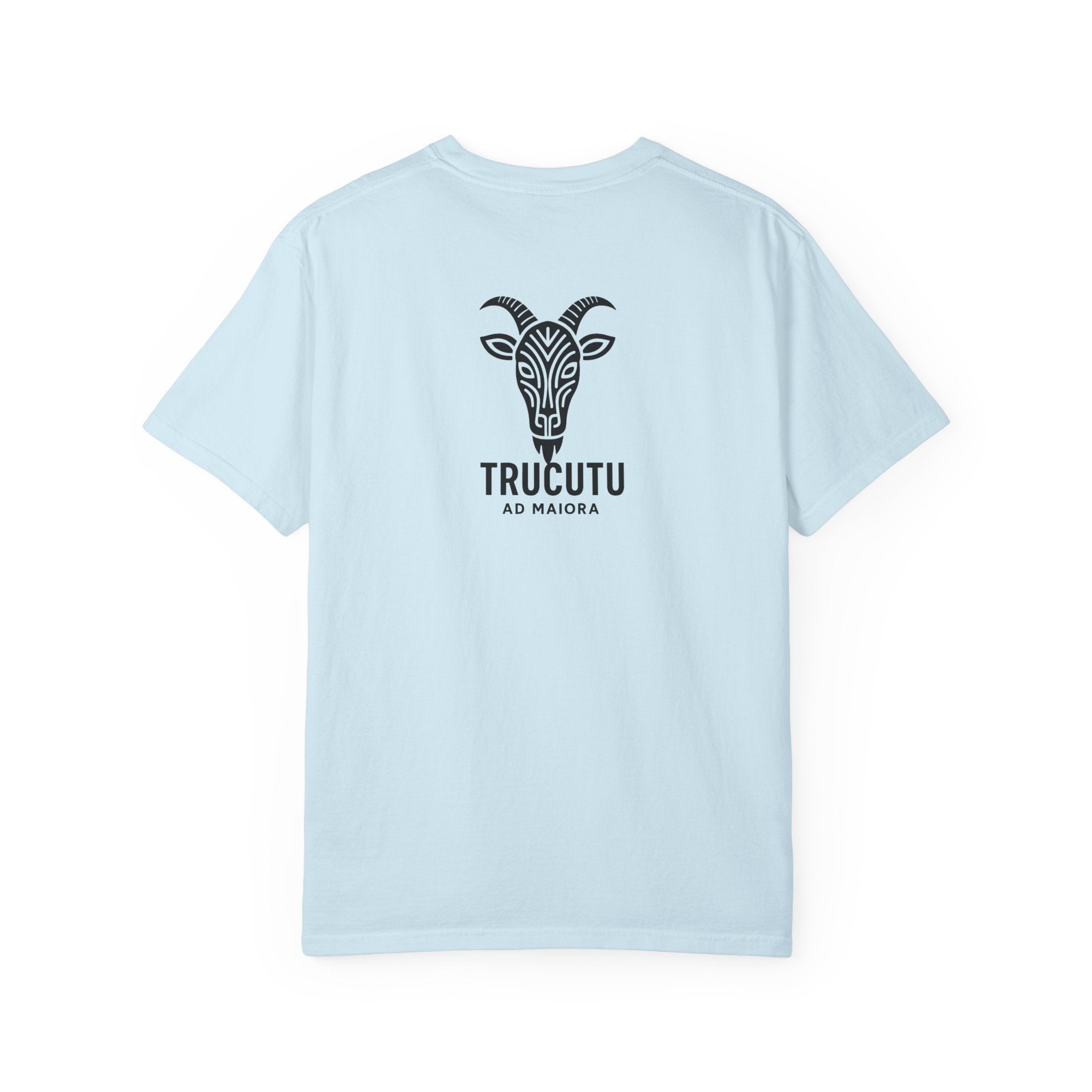 The TRUCUTU garment-dyed t-shirt