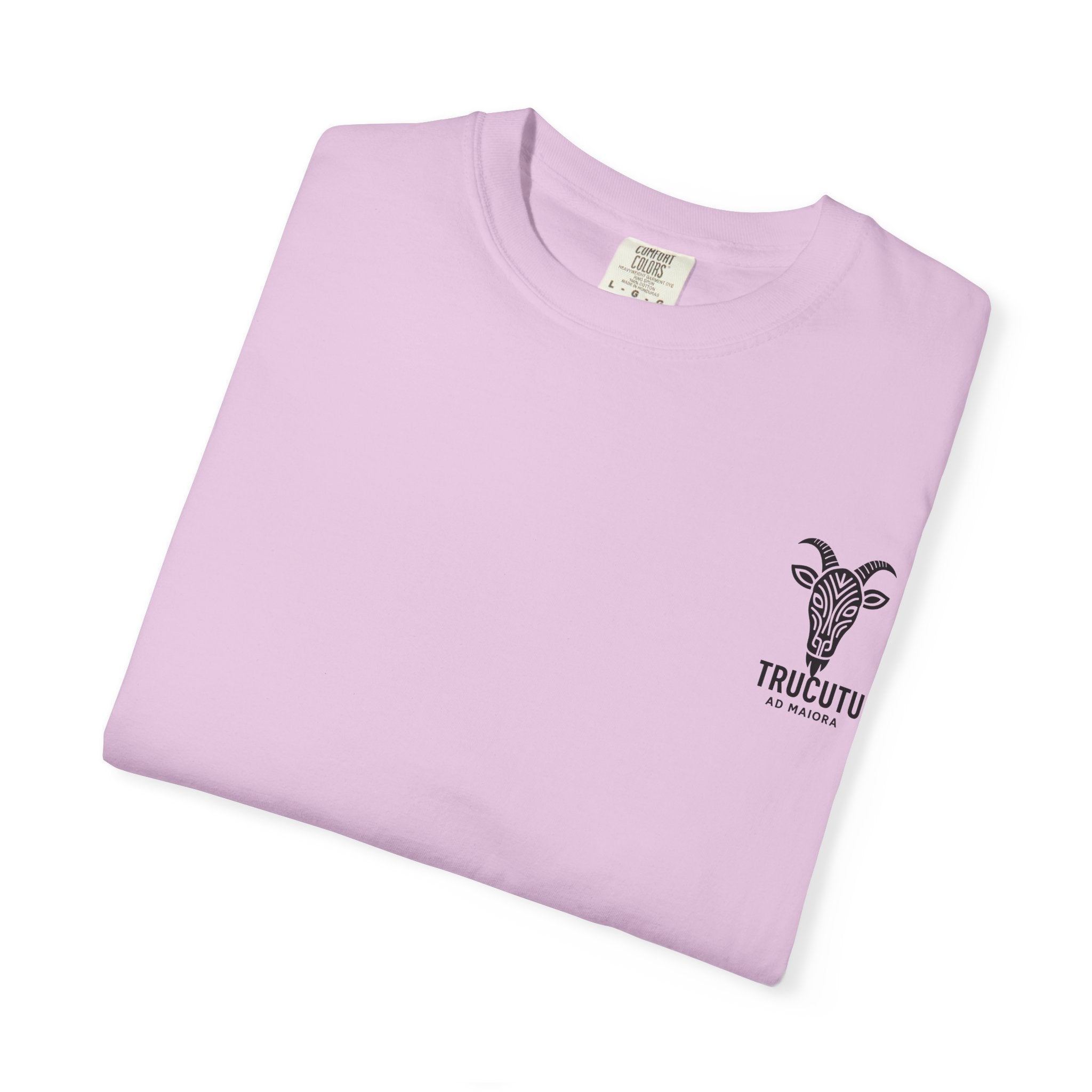 The TRUCUTU garment-dyed t-shirt